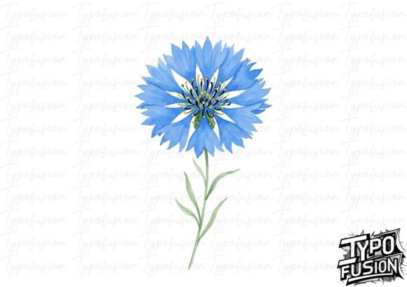 Cornflower Clipart: High-Resolution PNG Files for Creative Projects