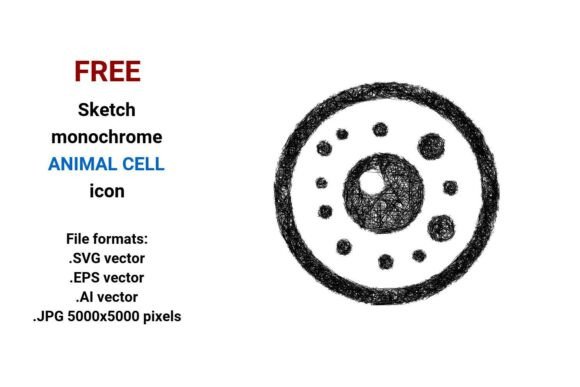 FREE Sketch Animal Cell Icon: Hand-Drawn Biology Art for Modern Design
