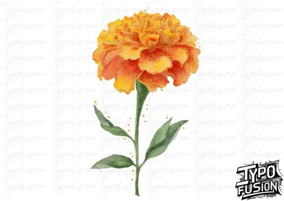 Watercolor Marigold Flower PNG